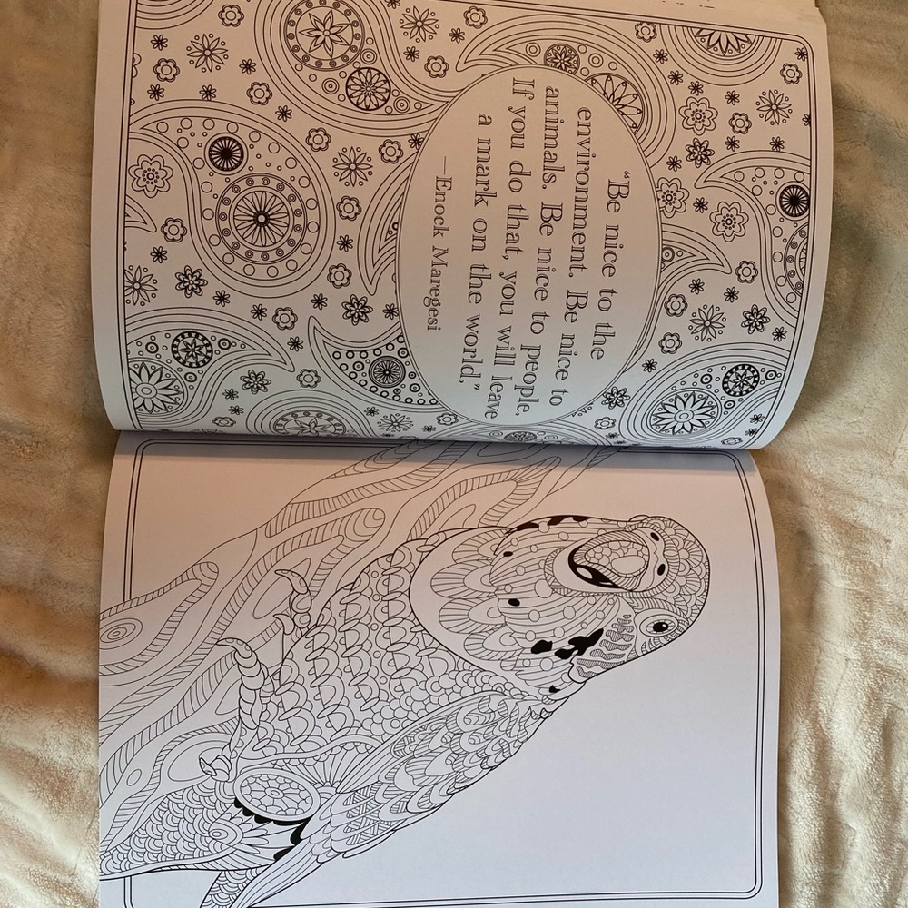 Amazing Animals Coloring Book - Picture 3 of 5
